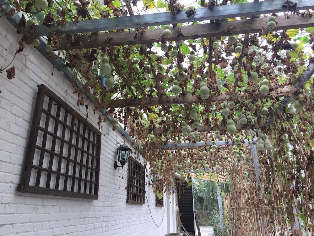 Manhong's Private Courtyard Exterior