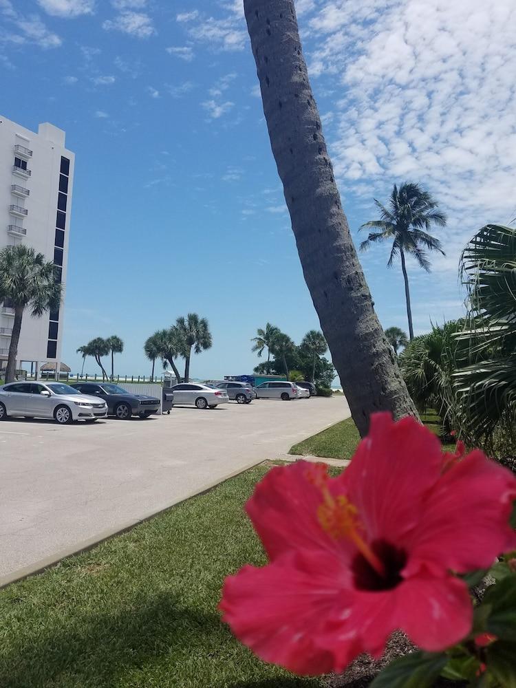 Carousel Inn on the Beach Exterior