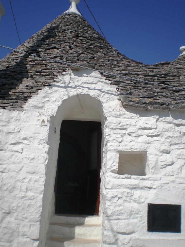 Trullidea