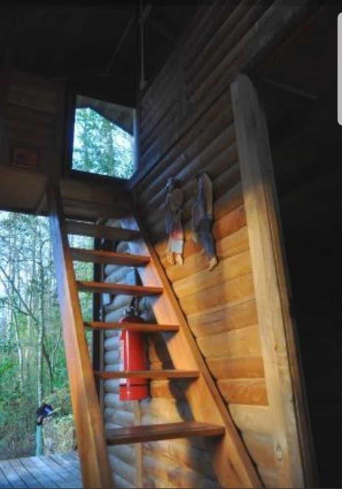 Kodkod Lugar de Encuentros Interior