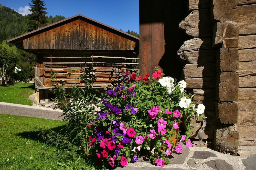 Albergo Diffuso Sauris di Sotto Property Grounds