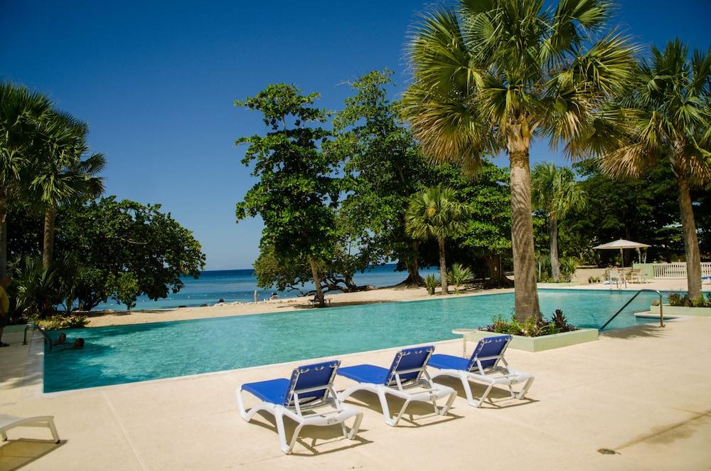 Seas the Day Sanctuary