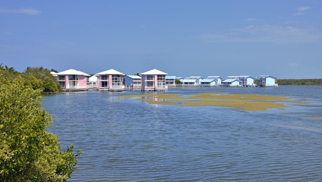 Melia Cayo Coco Others