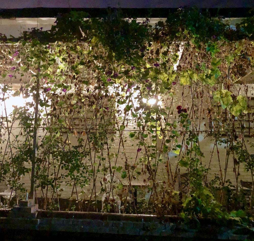 Manhong's Private Courtyard Exterior