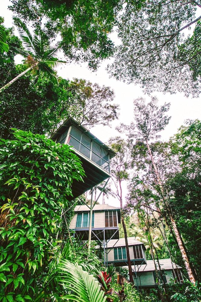 Daintree Ecolodge Exterior