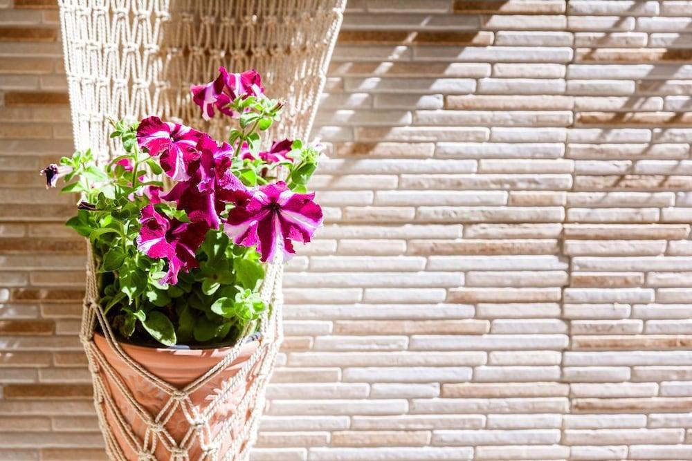 Ariadne Beautiful Studio Exterior detail