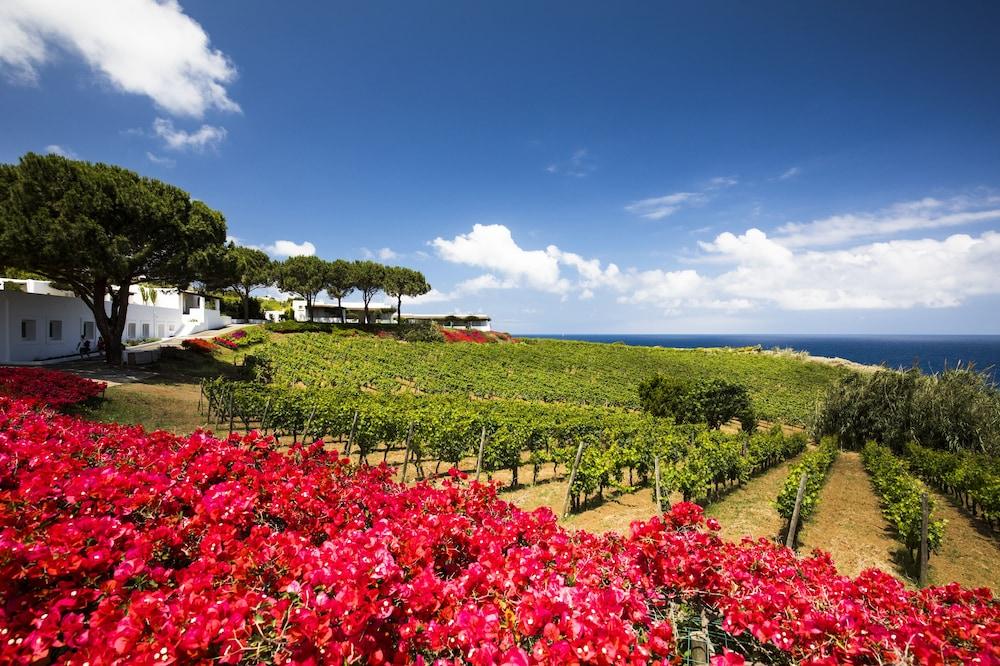 Capofaro Locanda & Malvasia Others