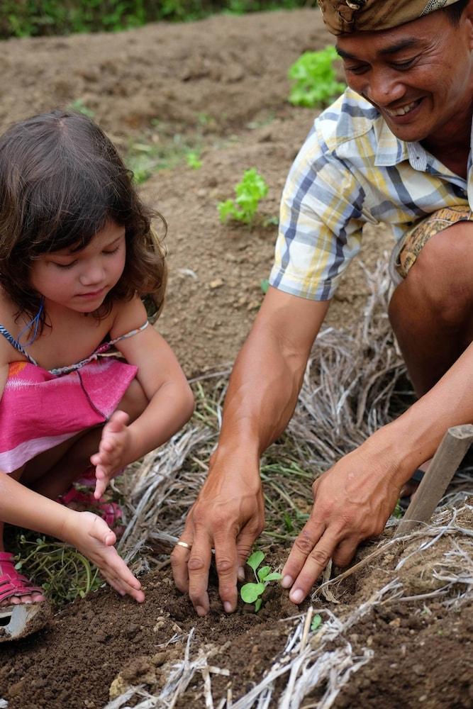 Visesa Ubud Resort Exterior