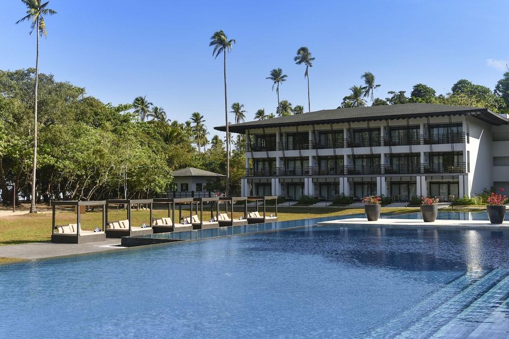 Seda Lio Featured Image