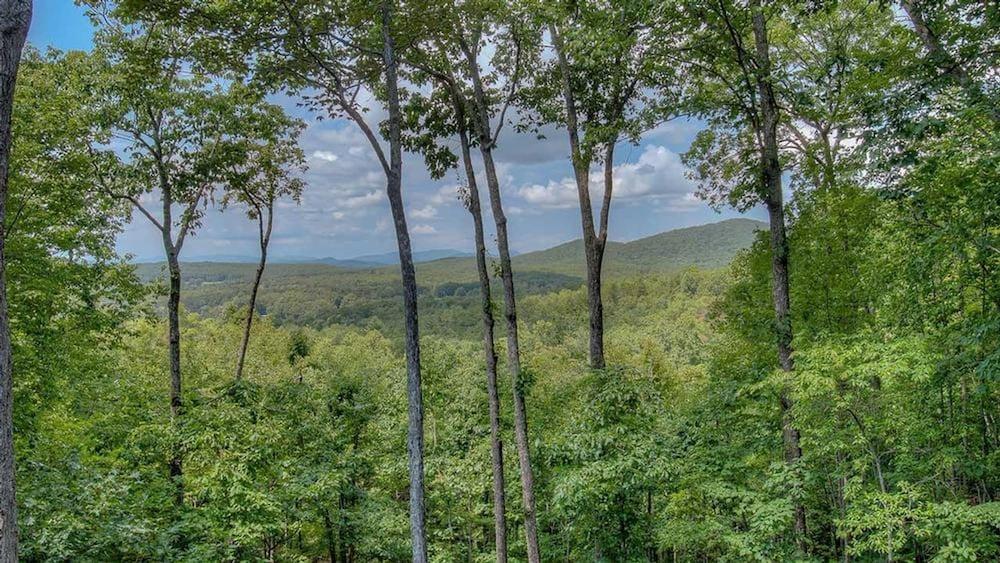 Owls Nest by Escape to Blue Ridge Property Grounds