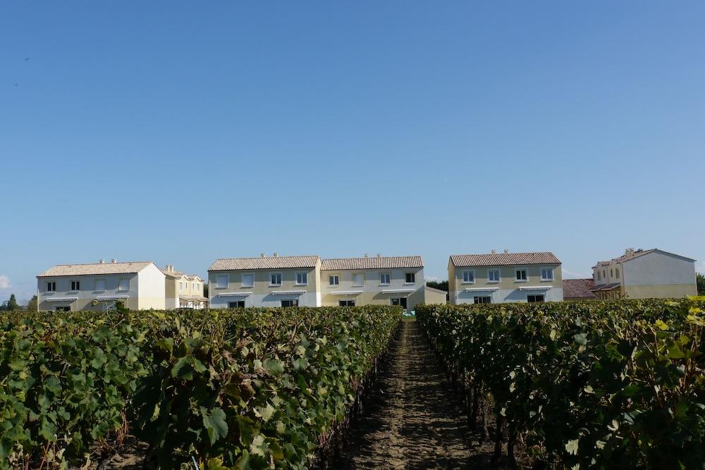 Les Grands Vignobles Exterior
