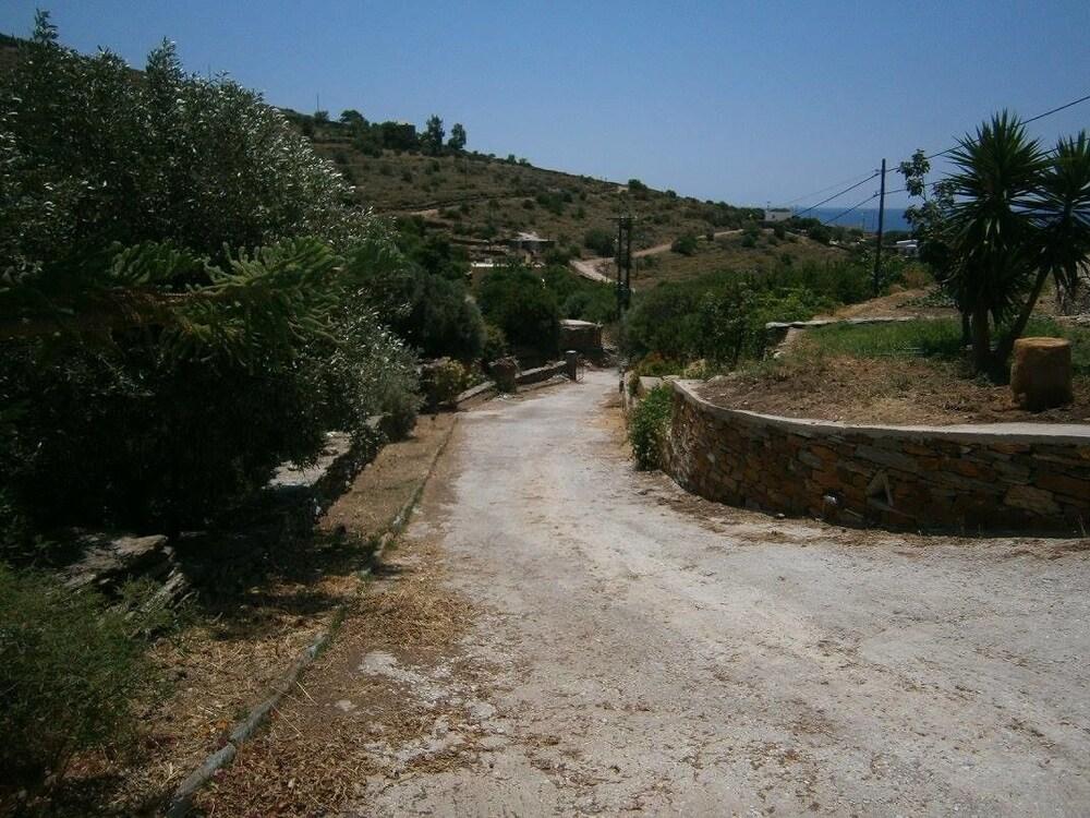 Elea Koundouros Property Grounds