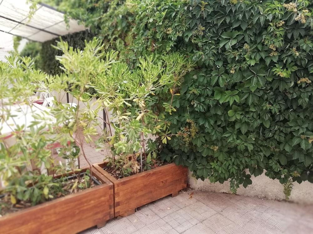 ستيلا مارينا ألبيرجو ديفورس بي آند بي المنطقة الخارجية