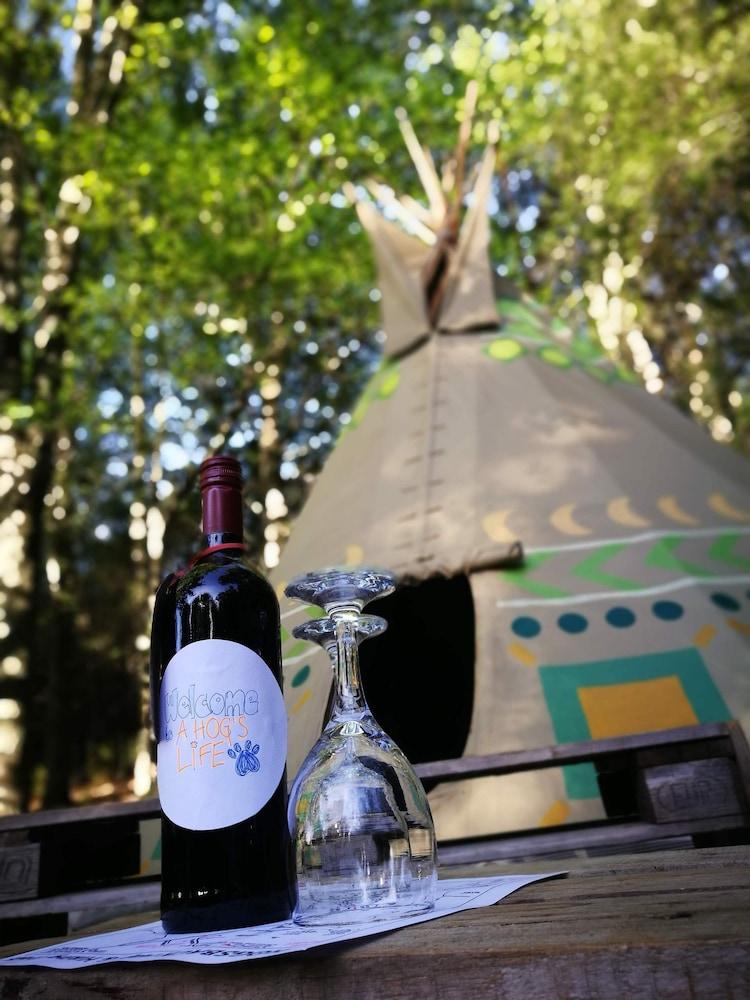 Magical Teepee Experience Hogsback - Glamping Exterior