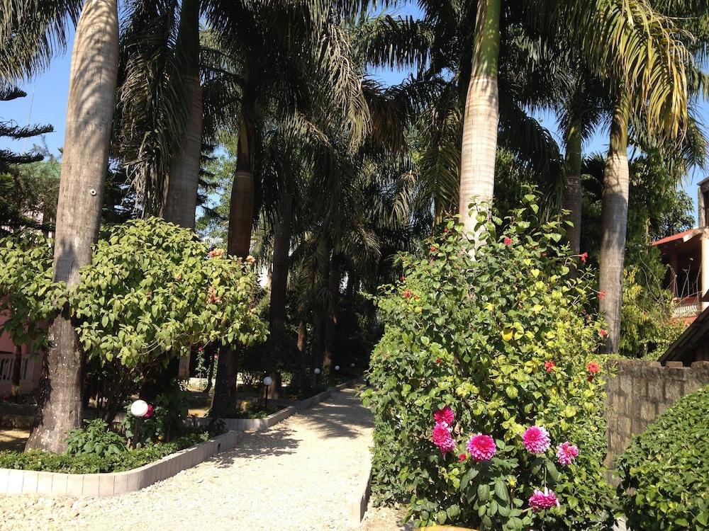 Sauraha Resort Property Grounds