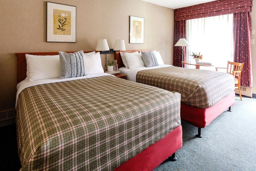 Marmot Lodge Room