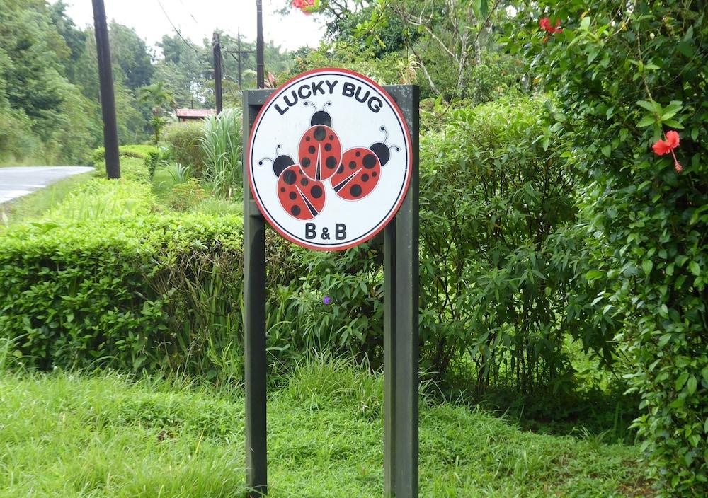 Lucky Bug B & B Property Grounds