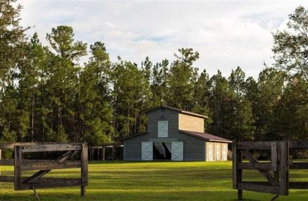 ذا هورس ستامب إن بيد آند بريكفاست المنطقة الخارجية