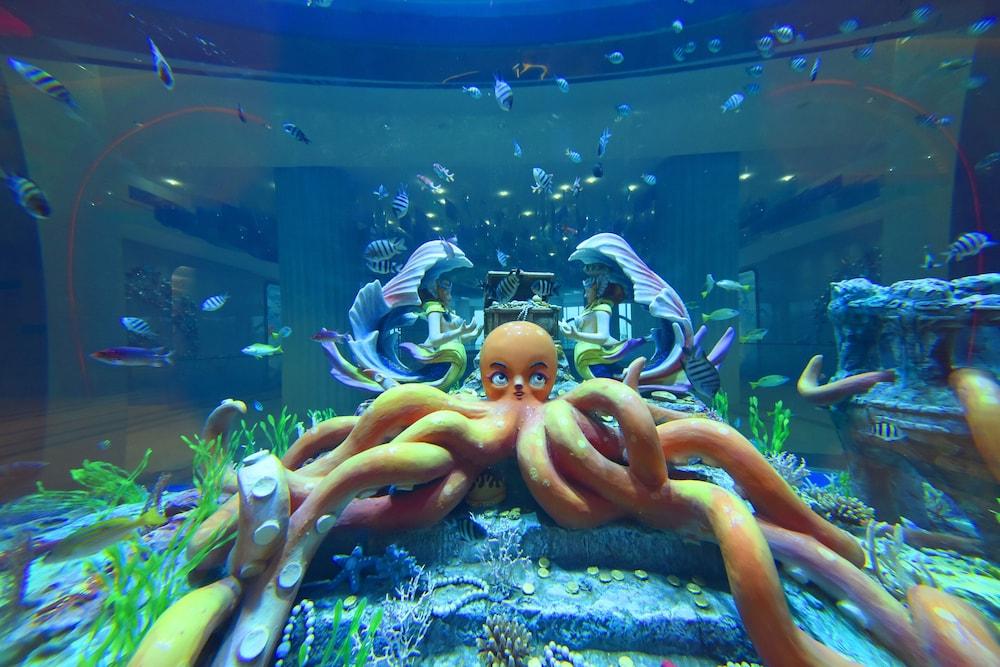 دولفين باي هوتل داخلي