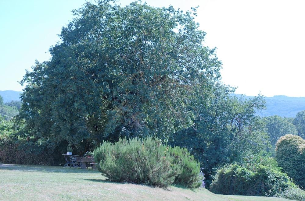 Lo Zolfino Exterior