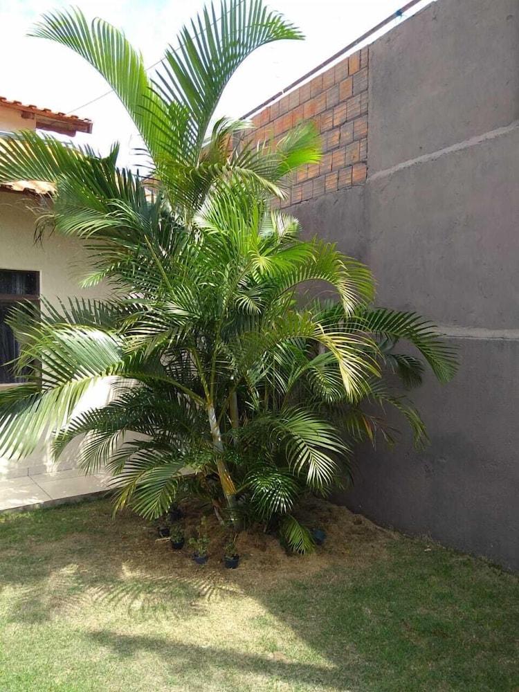 كاسا برانكا