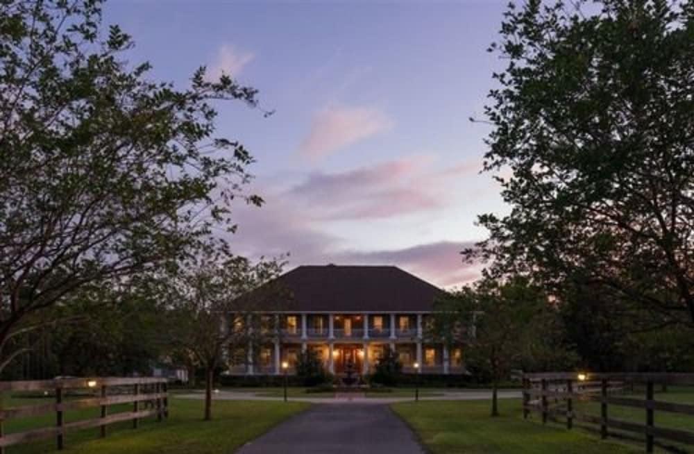 ذا هورس ستامب إن بيد آند بريكفاست الصورة الأساسية