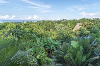 Kaya Bloom Ecolodge & Glamping