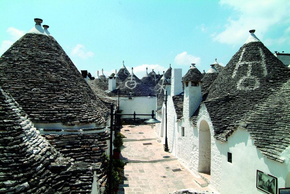 Trullidea Property Grounds