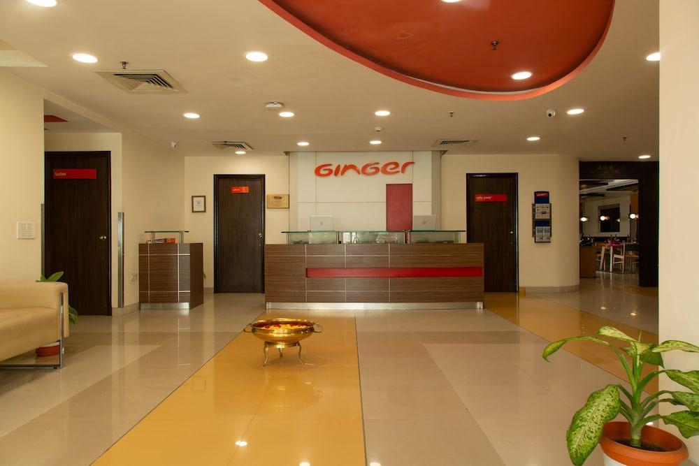 Ginger Vapi Reception