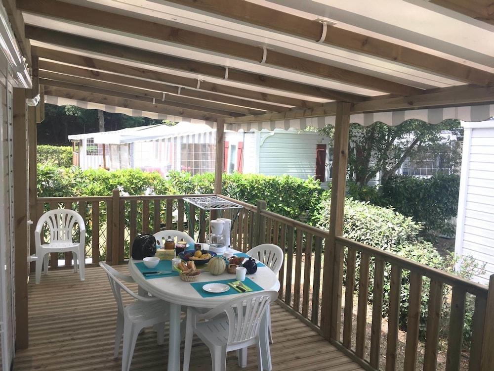 بليزيير ناتيور ألا بينياد الصورة الأساسية