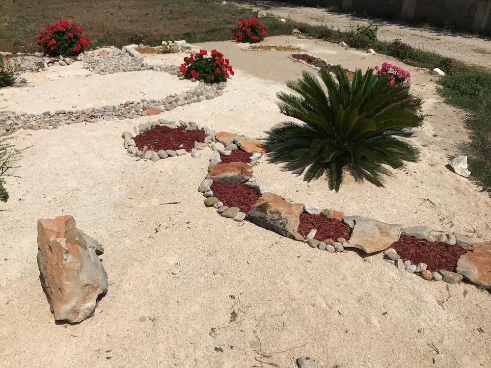 سريسر دوبروفنيك أبارتمنتس يو آر إل آي سي المنطقة المحيطة بالمنشأة