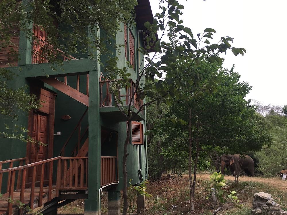 Elephant Hide by Cacao Exterior