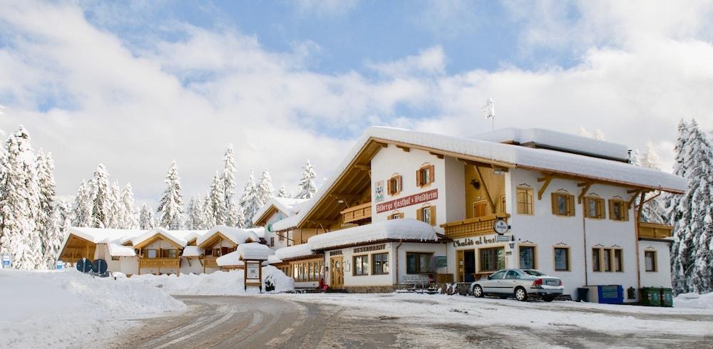 Hotel Waldheim