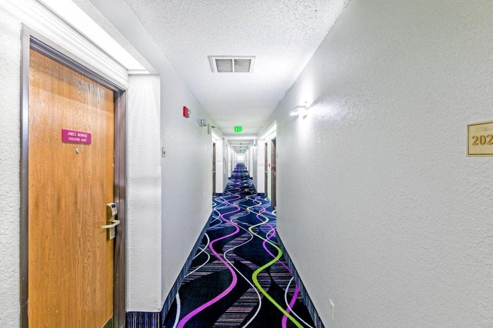 بايمونت باي ويندام جاكسون الردهة