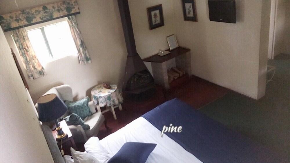 Pine Tree Inn Room
