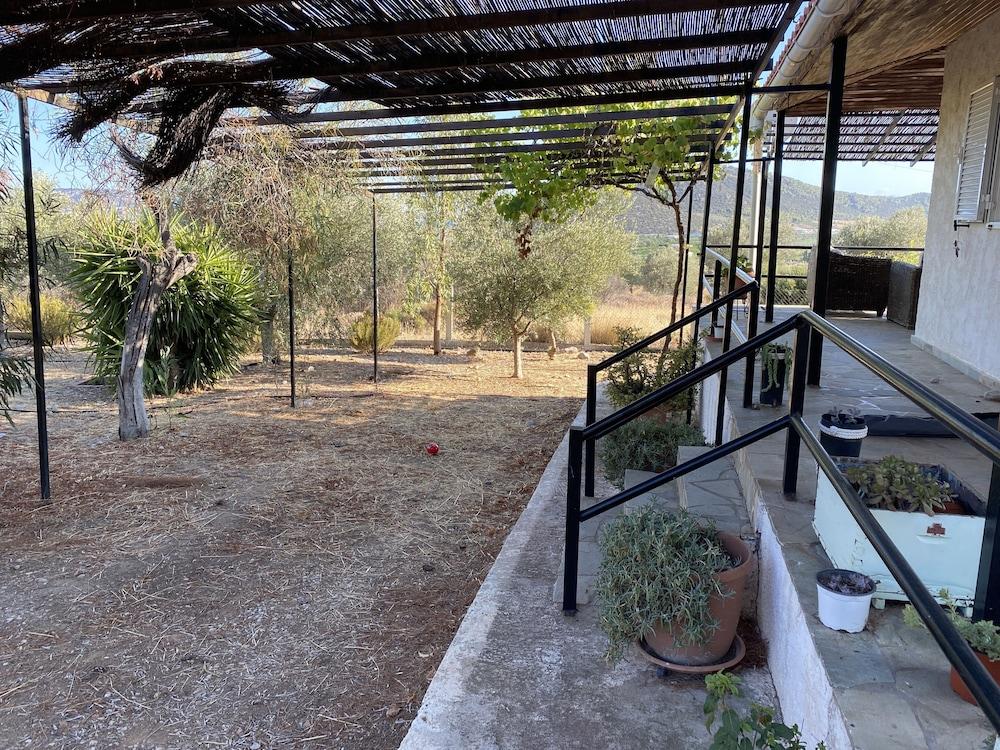 Cosy Calm Cottage in Olive Trees With sea View Property Grounds