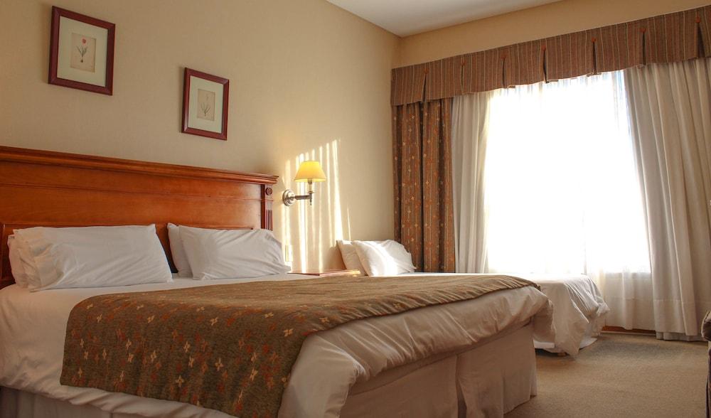 Terrazas del Calafate Room