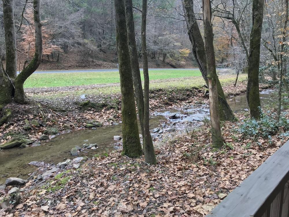 Mulberry Creek - Cozy Creekside Mountain Cabin - Wifi by Redawning Property Grounds