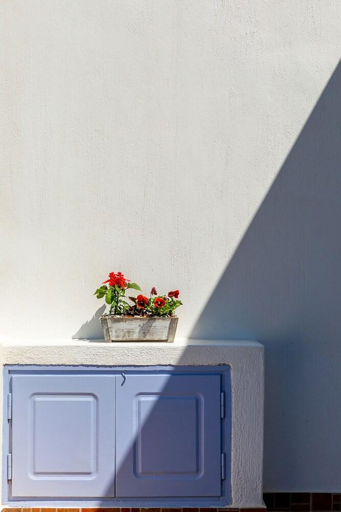 Arcobaleno Santorini Exterior detail
