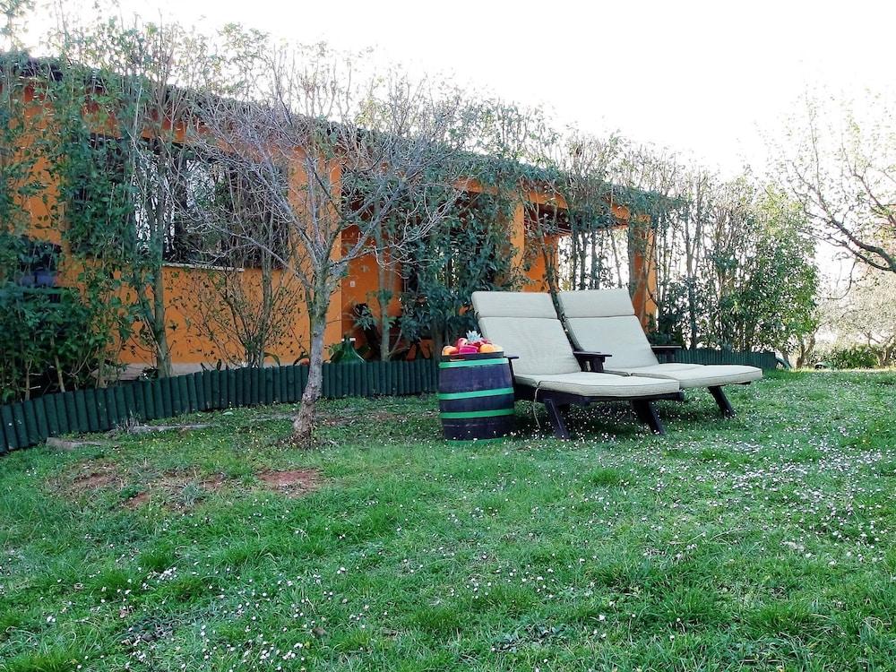 Cosy Holiday Home for Max. 4 Persons Surrounded With Meadows and Vineyard