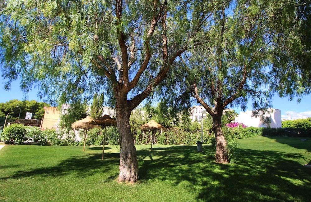 سورينتيو 4º سي - أبارتامنتو إيه 400 إم دي لا بلايا المنطقة المحيطة بالمنشأة
