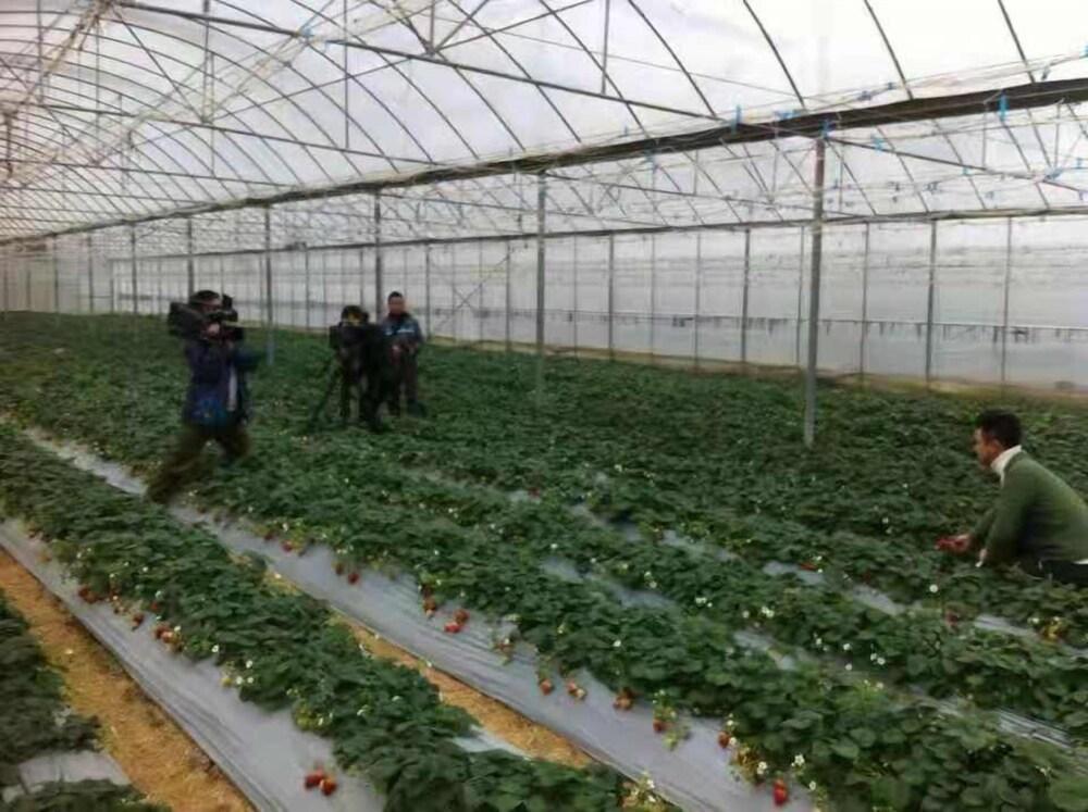 ساوث إيسترن فلايينج تايجر مانور المنطقة الخارجية