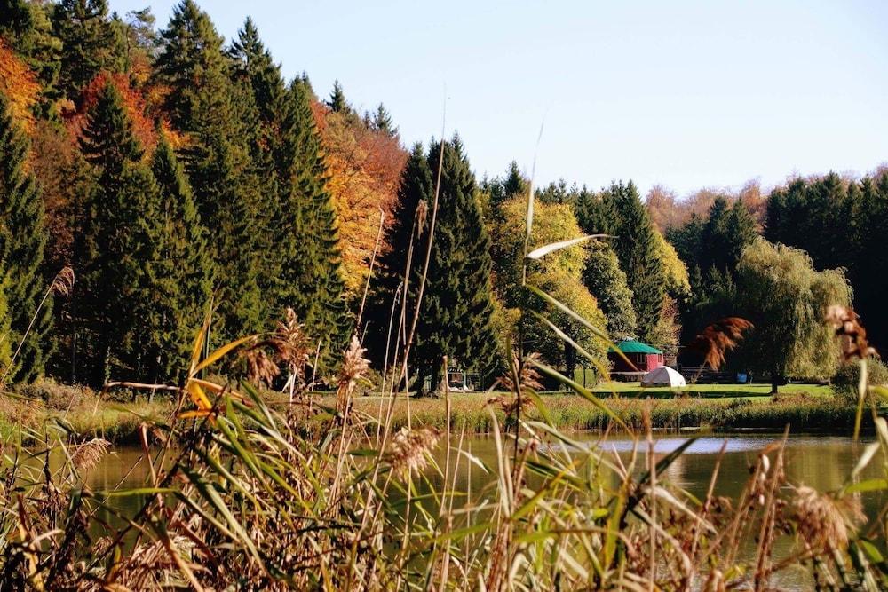 فوكسي كامب إنسوليت