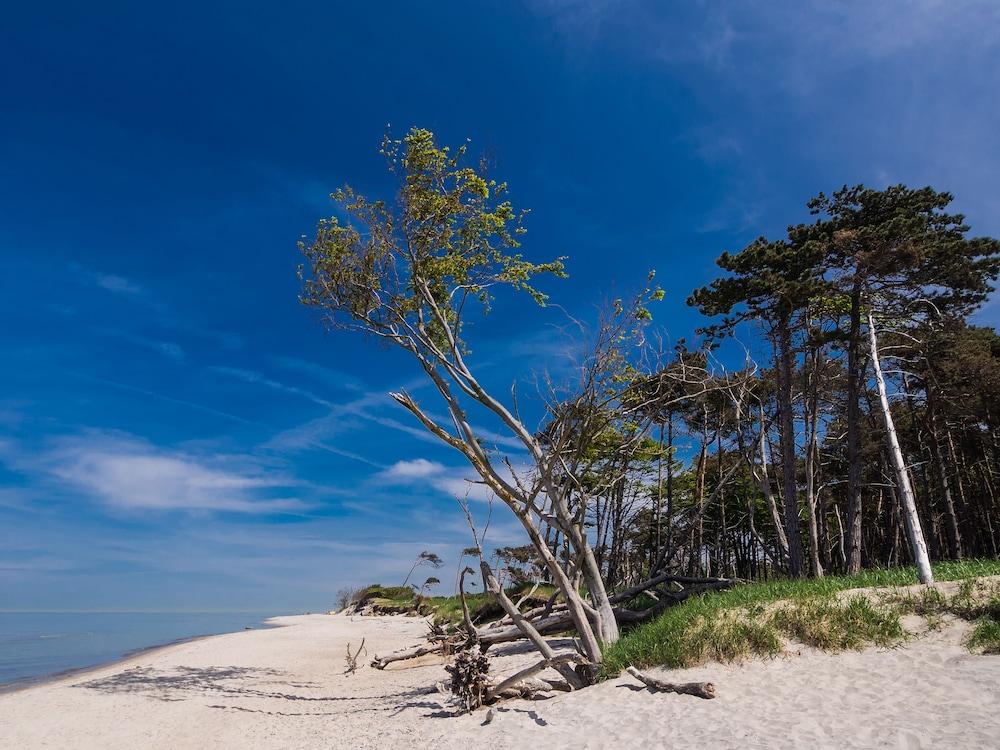 Schwedenglück Prerow Beach