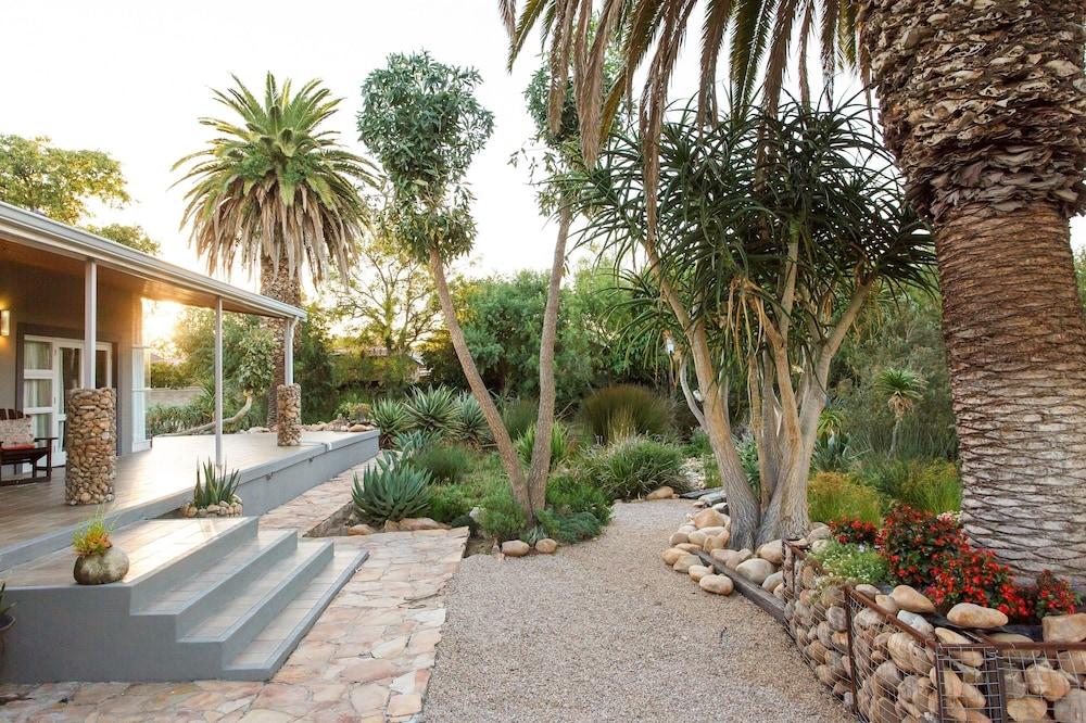 Aloe Manor