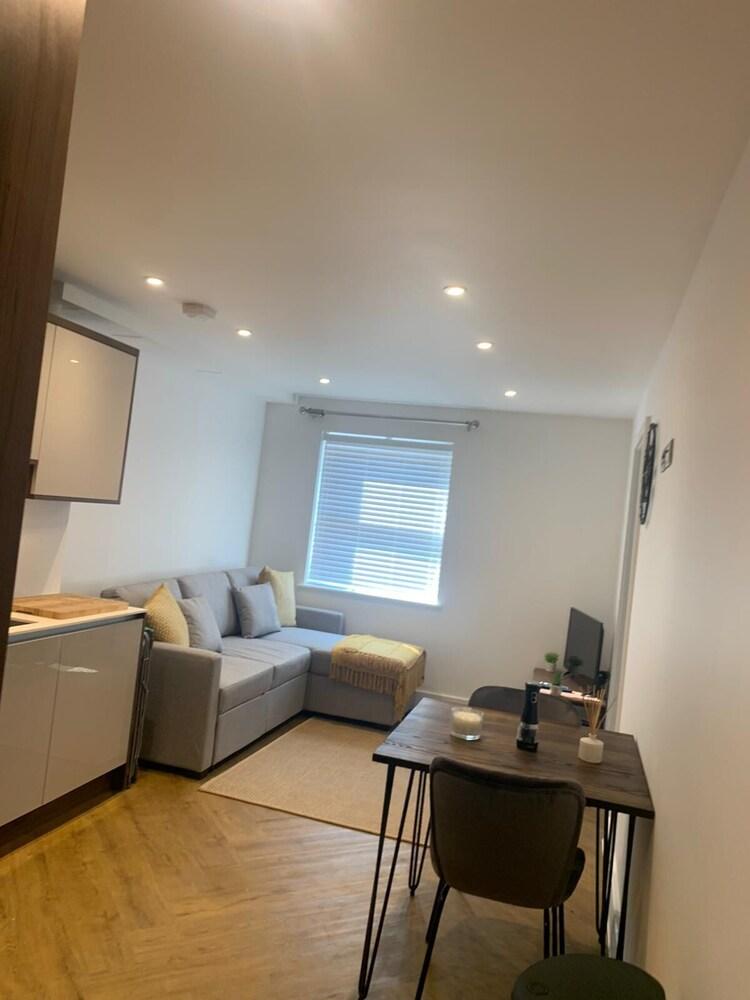 Unique 1 bedroom in Reading Living Area