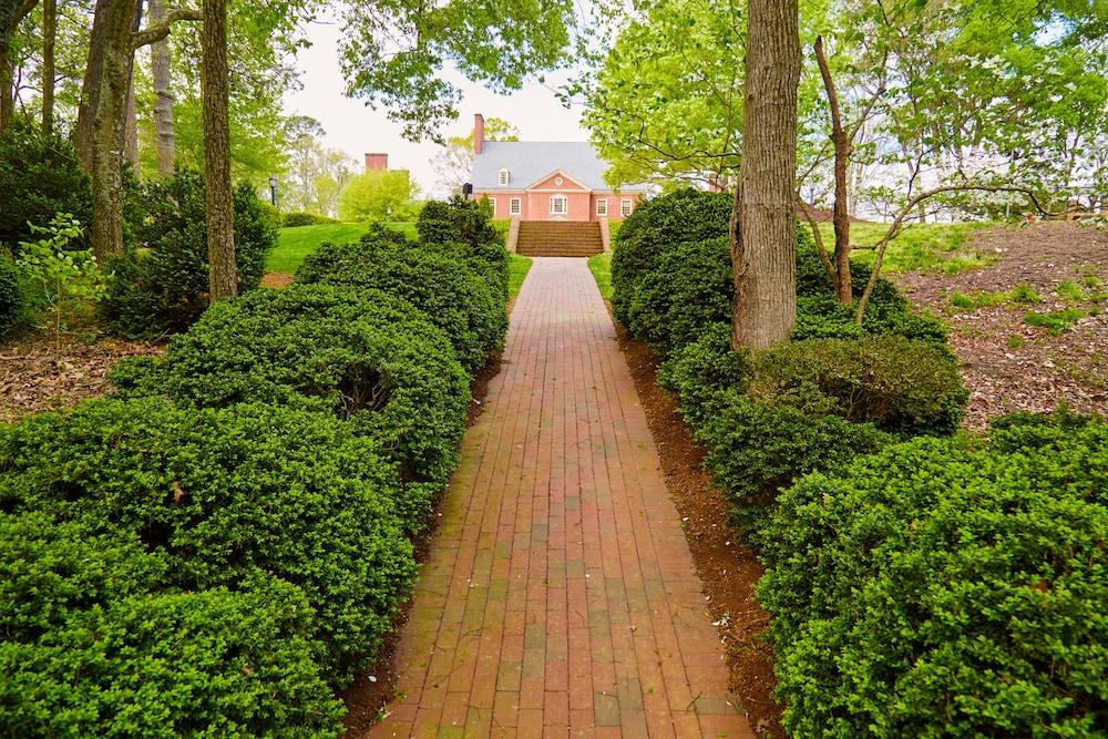 ريزو سنتر، إيه ديستينيشن باي حياة هوتل المنطقة المحيطة بالمنشأة