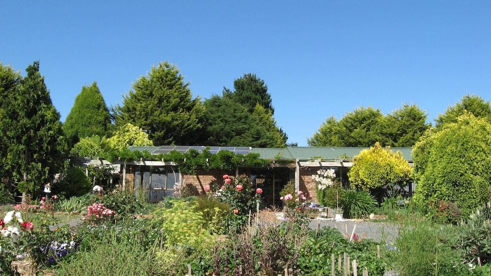 Blueberry B & B