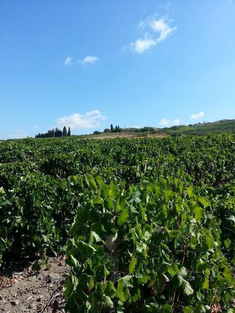 B&B Antico Frantoio Property Grounds