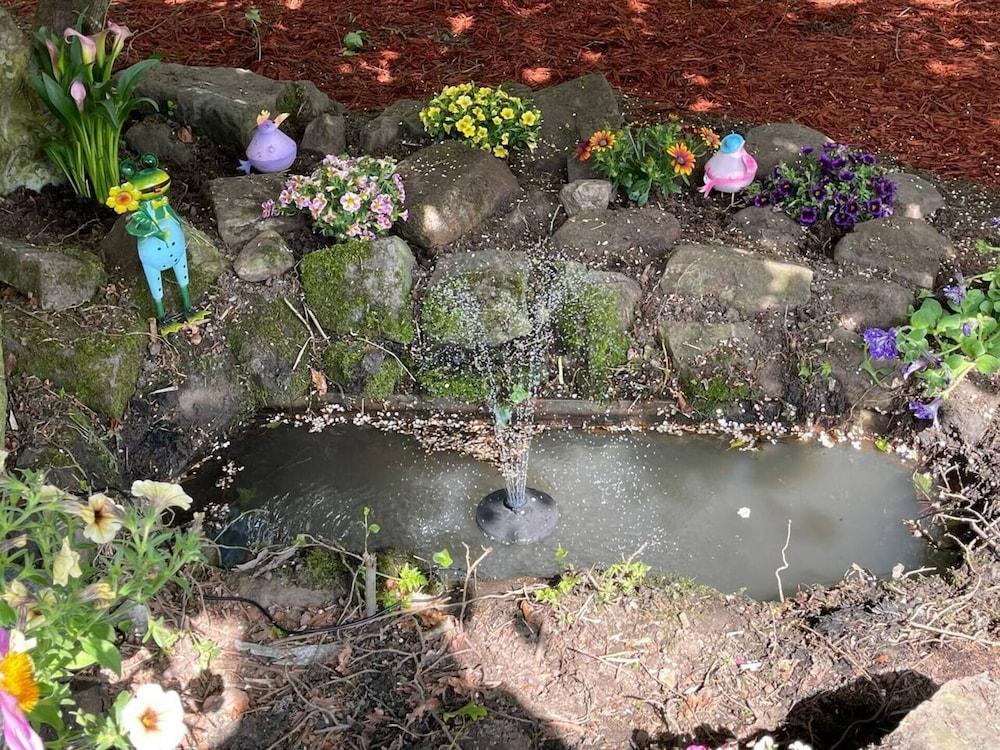 وودلاندز لودج - كوم آند إنجوي ذا جود لايف المنطقة المحيطة بالمنشأة